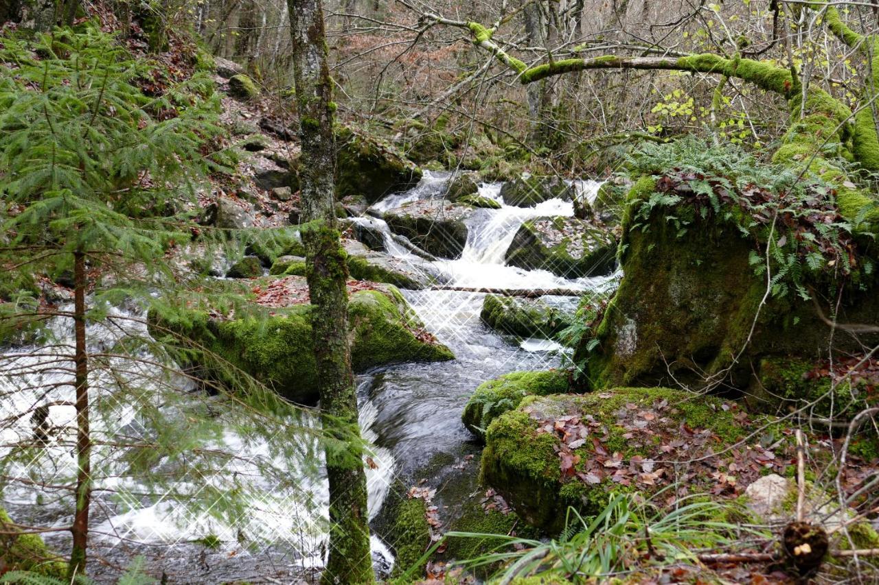 Roulotte Maisonthiers Blanot  Bagian luar foto