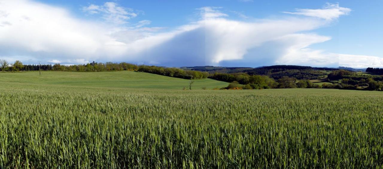 Roulotte Maisonthiers Blanot  Bagian luar foto