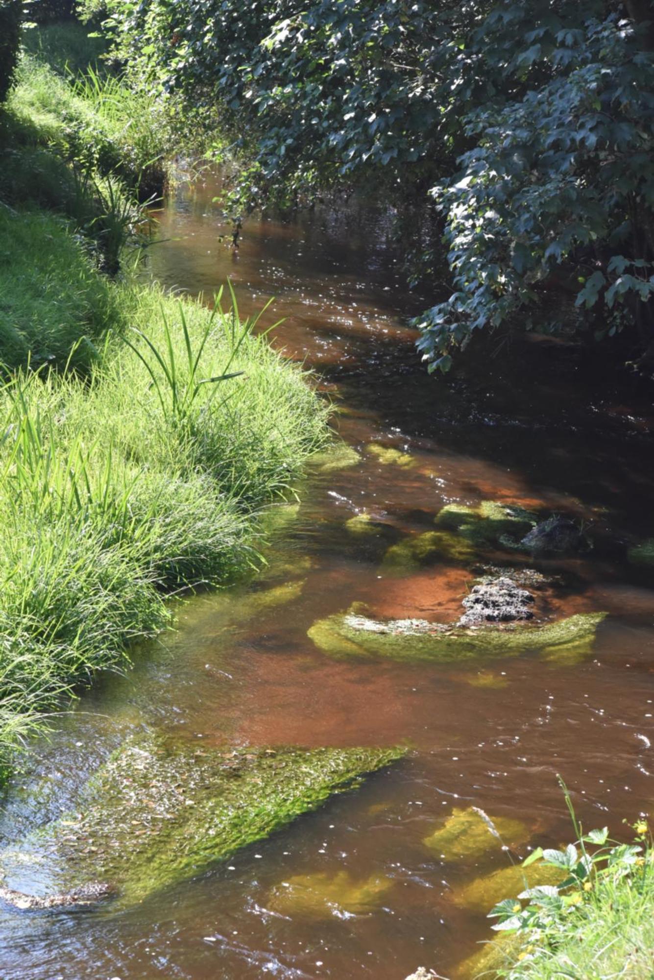 Roulotte Maisonthiers Blanot  Bagian luar foto