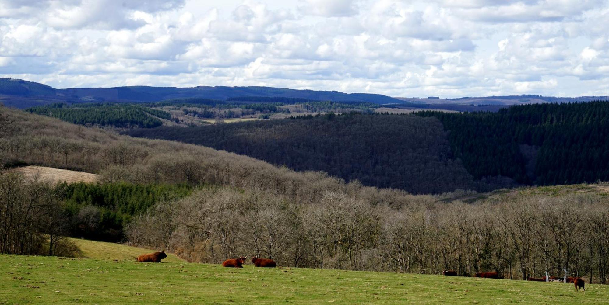 Roulotte Maisonthiers Blanot  Bagian luar foto